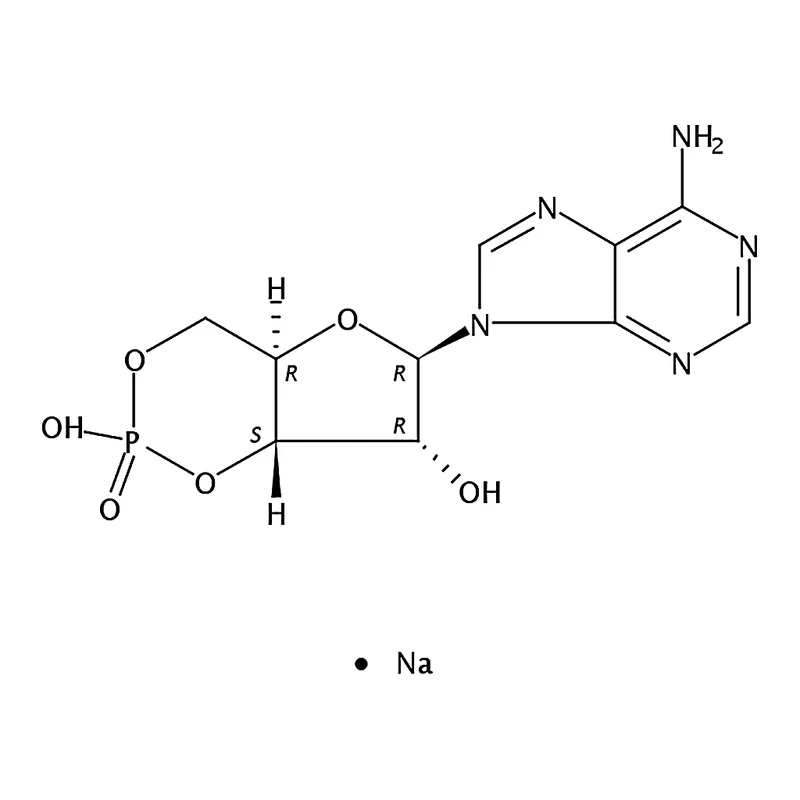 RHAWN Adenosine 3',5'-Cyclic Monophosphate Sodium Salt Hydrate