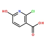 RHAWN 2-Chloro-6-hydroxynicotinic Acid