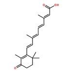 RHAWN all-trans-4-Oxoretinoic acid