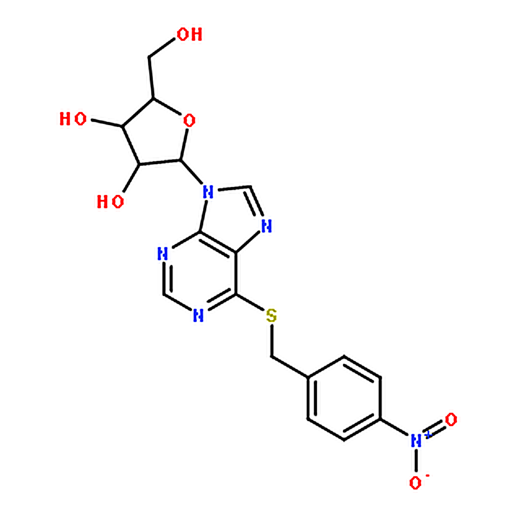 RHAWN S-(4-Nitrobenzyl)-6-thioinosine