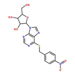 RHAWN S-(4-Nitrobenzyl)-6-thioinosine