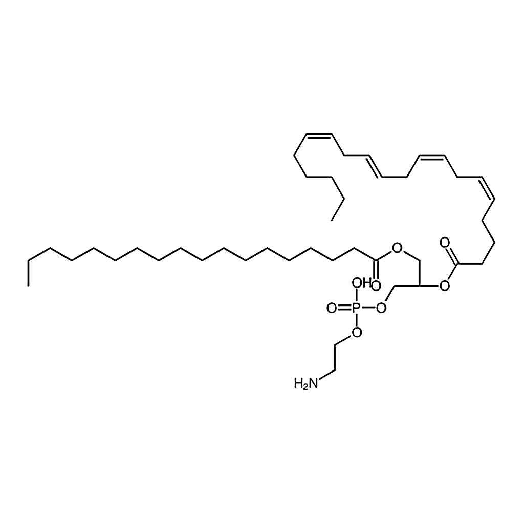 RHAWN L--phosphatidylethanolamine (Liver, Bovine)