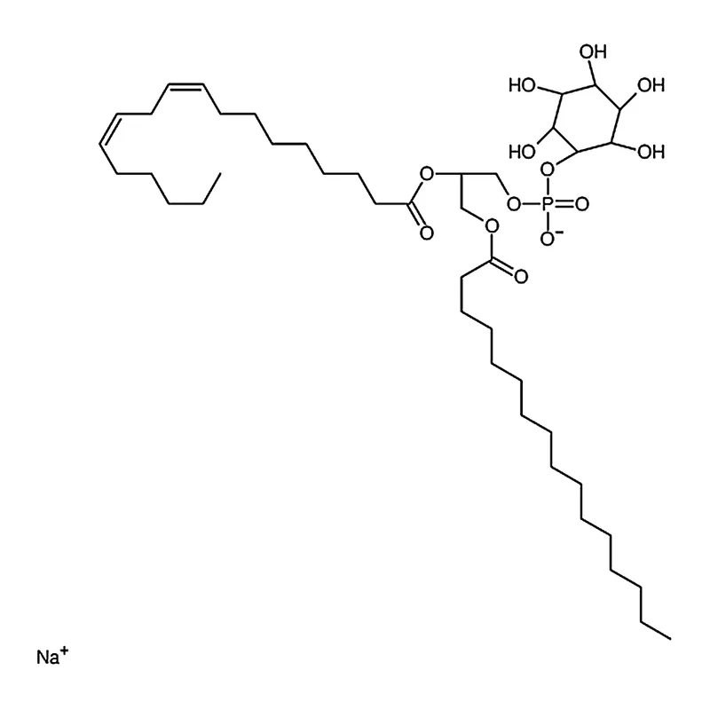 RHAWN L--phosphatidylinositol (Soy) (sodium salt)