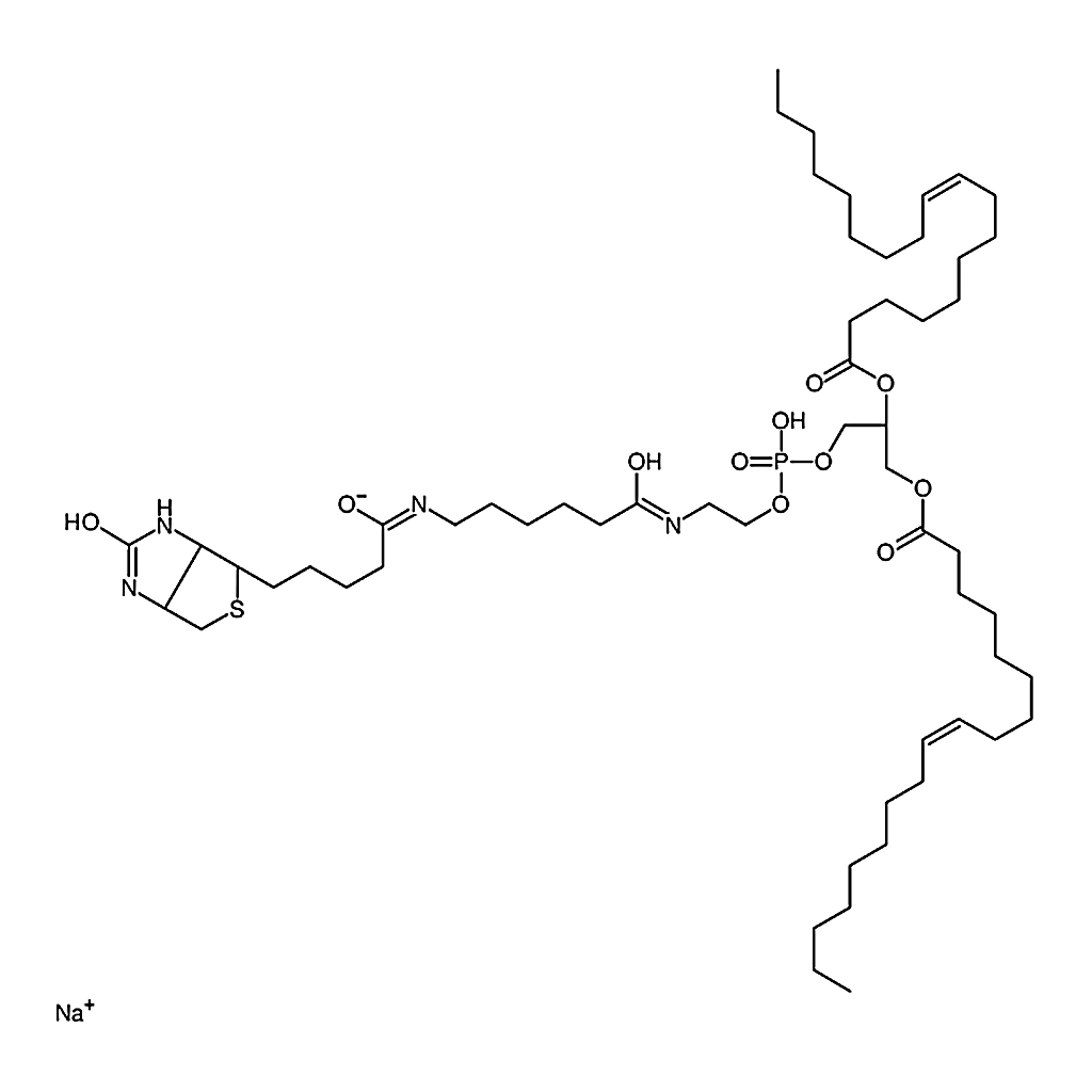 RHAWN 1,2-dioleoyl-sn-glycero-3-phosphoethanolamine-N-(cap biotinyl) (sodium salt)