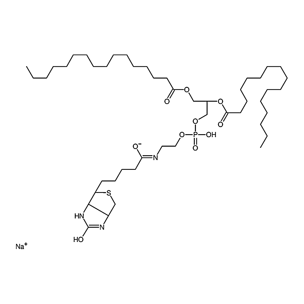RHAWN 1,2-dipalmitoyl-sn-glycero-3-phosphoethanolamine-N-(biotinyl) (sodium salt)