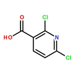 RHAWN 2,6-Dichloropyridine-3-carboxylic acid