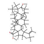 RHAWN Epibetulinic acid