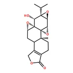RHAWN Tripterygium wilfordii extract