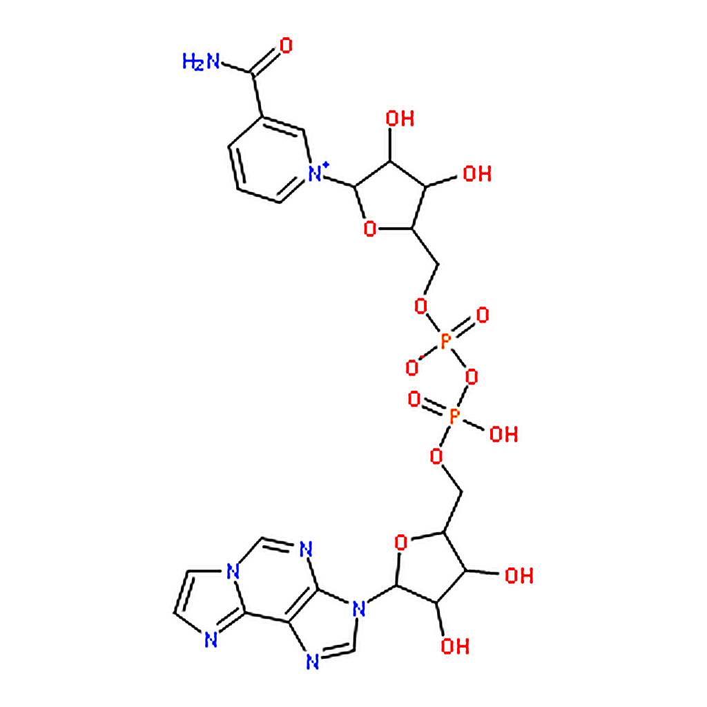 RHAWN Nicotinamide1，N6-EthenoadenineDinucleotide