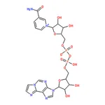 RHAWN Nicotinamide1,N6-EthenoadenineDinucleotide