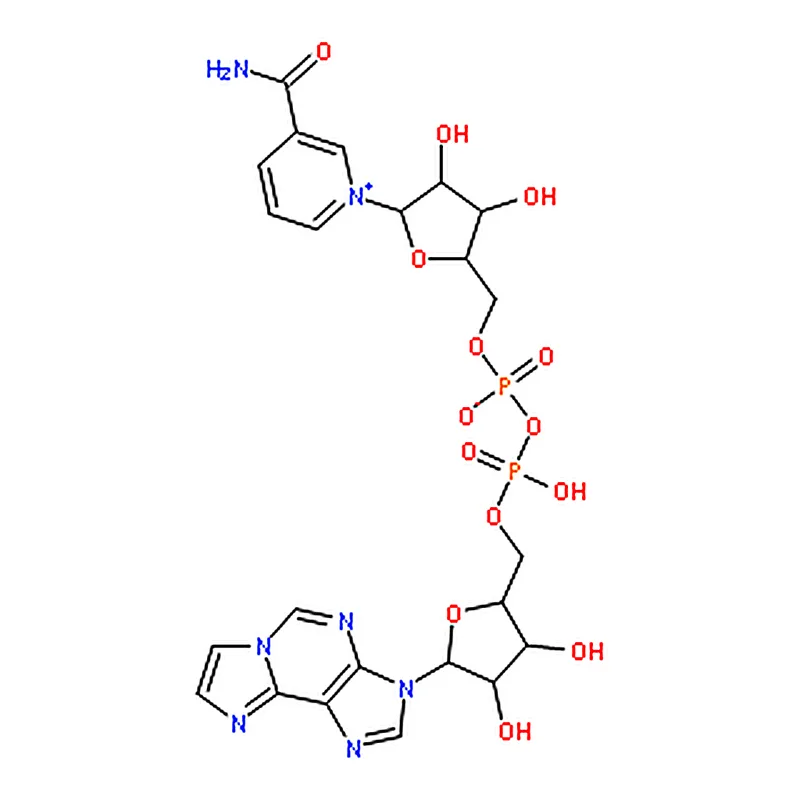RHAWN Nicotinamide1,N6-EthenoadenineDinucleotide