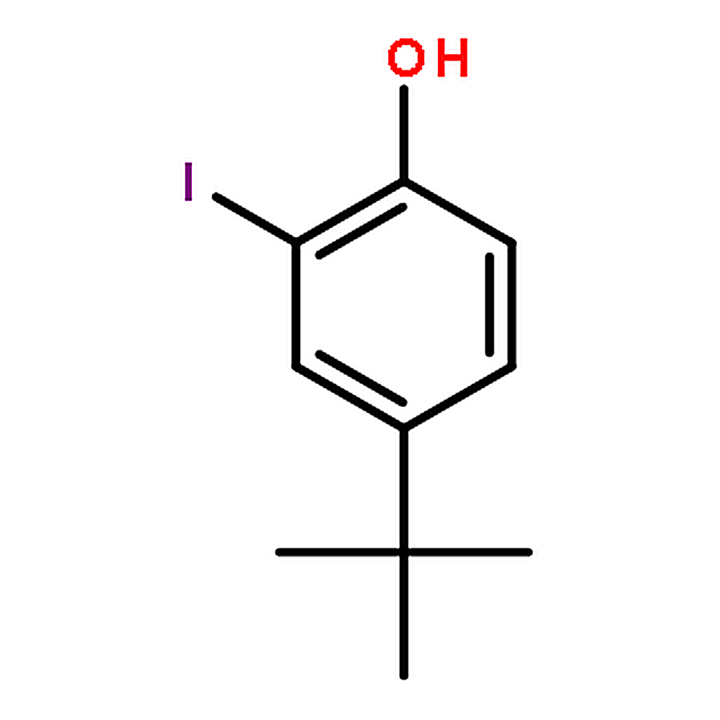 RHAWN 4-(tert-Butyl)-2-iodophenol