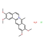 RHAWN Coralyne chloride