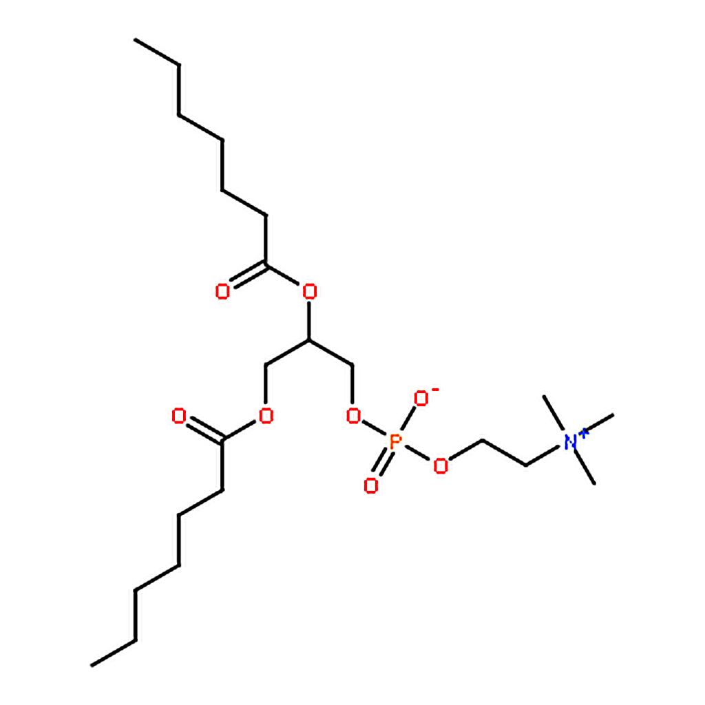 RHAWN 1,2-diheptanoyl-sn-glycero-3-phosphocholine