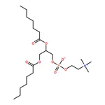 RHAWN 1,2-diheptanoyl-sn-glycero-3-phosphocholine