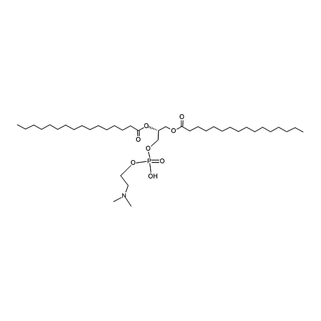 RHAWN 1,2-dipalmitoyl-sn-glycero-3-phosphoethanolamine-N,N-dimethyl