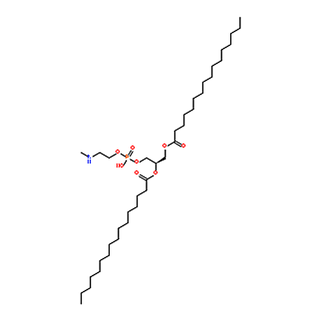 RHAWN 1,2-dipalmitoyl-sn-glycero-3-phosphoethanolamine-N-methyl