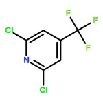 RHAWN 2,6-Dichloro-4-(Trifluoromethyl)Pyridine