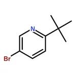 RHAWN 5-bromo-2-tert-butylpyridine
