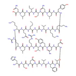 RHAWN Vasoactive Intestinal Peptide human, porcine, rat