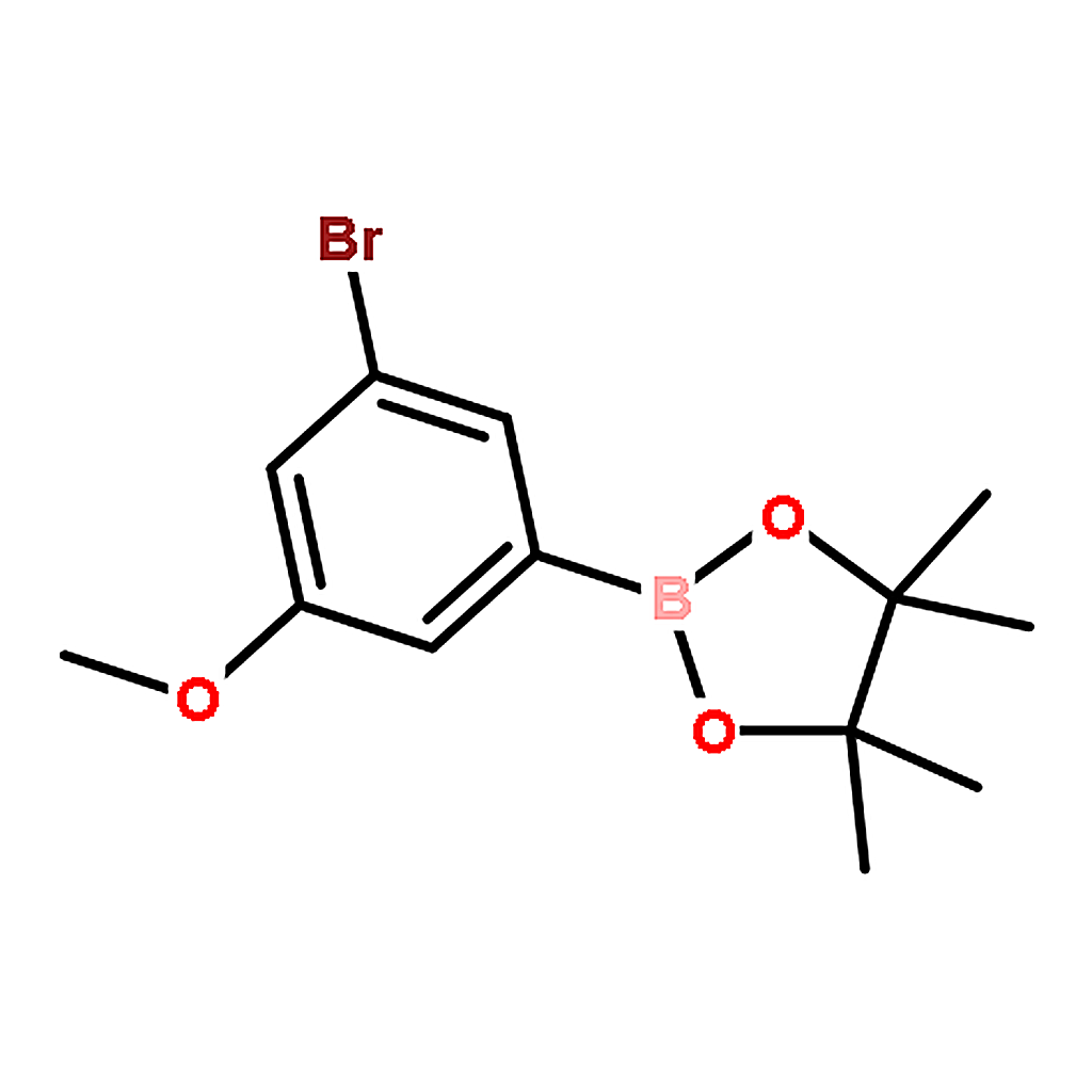 RHAWN 2-(3-Bromo-5-methoxyphenyl)-4,4,5,5-tetramethyl-1,3,2-dioxaborolane