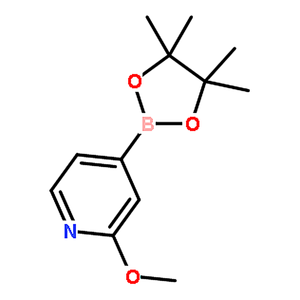 RHAWN 2-Methoxy-4-(4，4，5，5-tetramethyl-1，3，2-dioxaborolan-2-yl)pyridine
