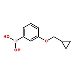 RHAWN (3-(Cyclopropylmethoxy)phenyl)boronic acid