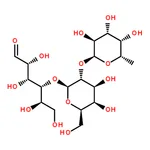 RHAWN 2'-FUCOSYLLACTOSE