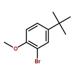 RHAWN 2-Bromo-4-(tert-butyl)-1-methoxybenzene