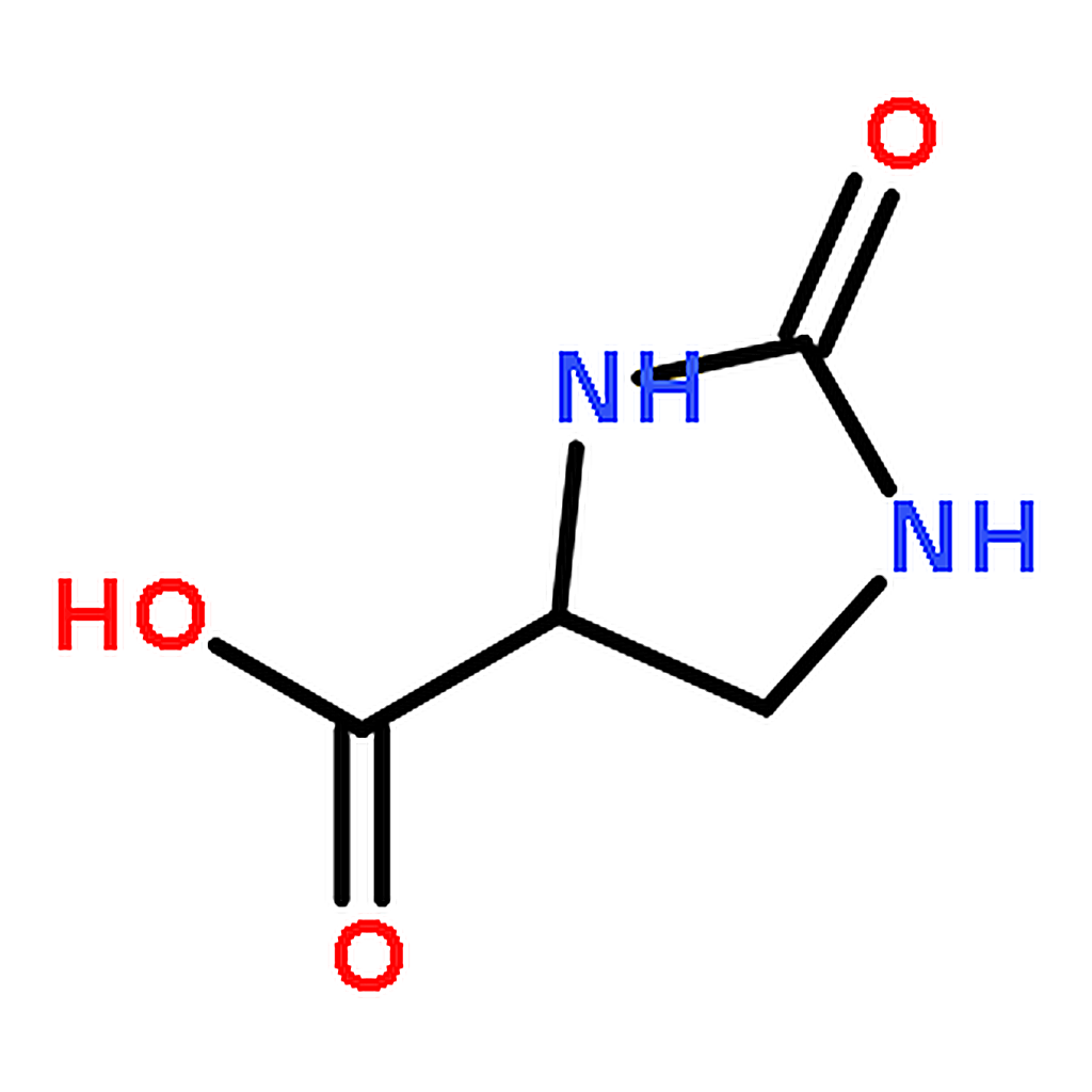RHAWN (S)-2-Oxoimidazolidine-4-carboxylic acid