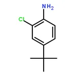 RHAWN 4-(tert-Butyl)-2-chloroaniline
