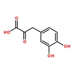RHAWN 3-(3,4-Dihydroxyphenyl)-2-oxopropanoic acid