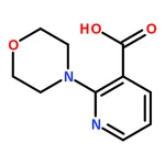 RHAWN 2-Morpholinonicotinic acid