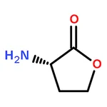 RHAWN 3-Aminodihydrofuran-2(3H)-one hydrochloride