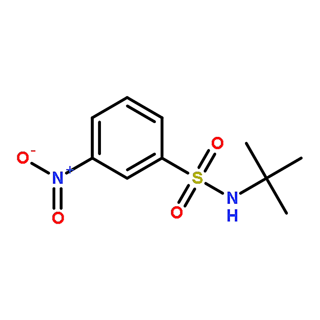 RHAWN N-(tert-Butyl)-3-nitrobenzenesulfonamide