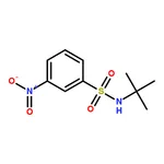 RHAWN N-(tert-Butyl)-3-nitrobenzenesulfonamide