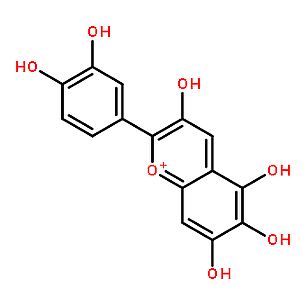 RHAWN Quercetagetinidin chloride