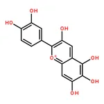 RHAWN Quercetagetinidin chloride