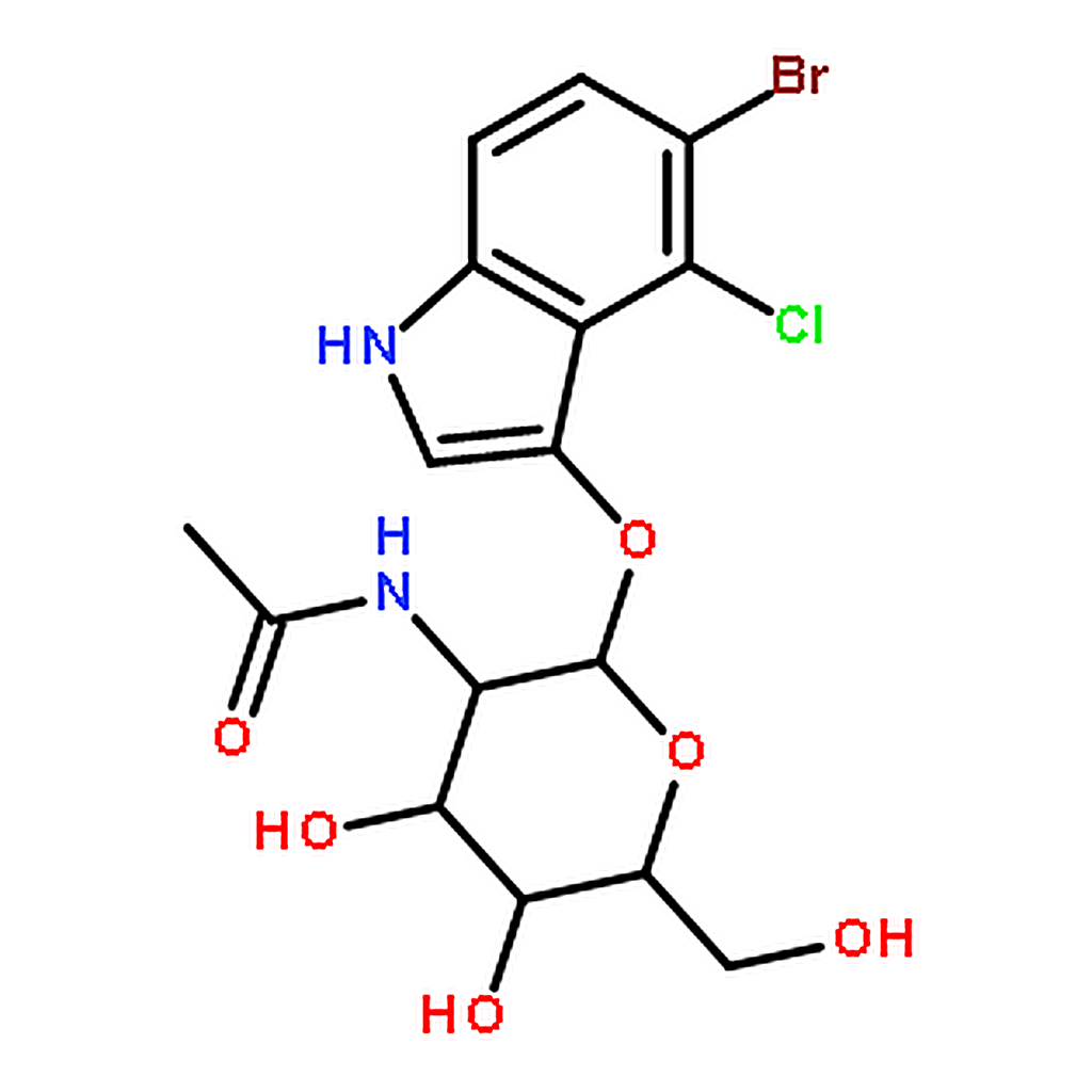 RHAWN 5-Bromo-4-chloro-3-indolyl N-acetyl--D-glucosaminide