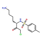 RHAWN Nalpha-Tosyl-L-lysine chloromethyl ketone hydrochloride