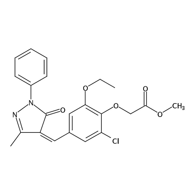 RHAWN SJ-172550