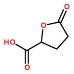 RHAWN 5-Oxotetrahydrofuran-2-carboxylic acid