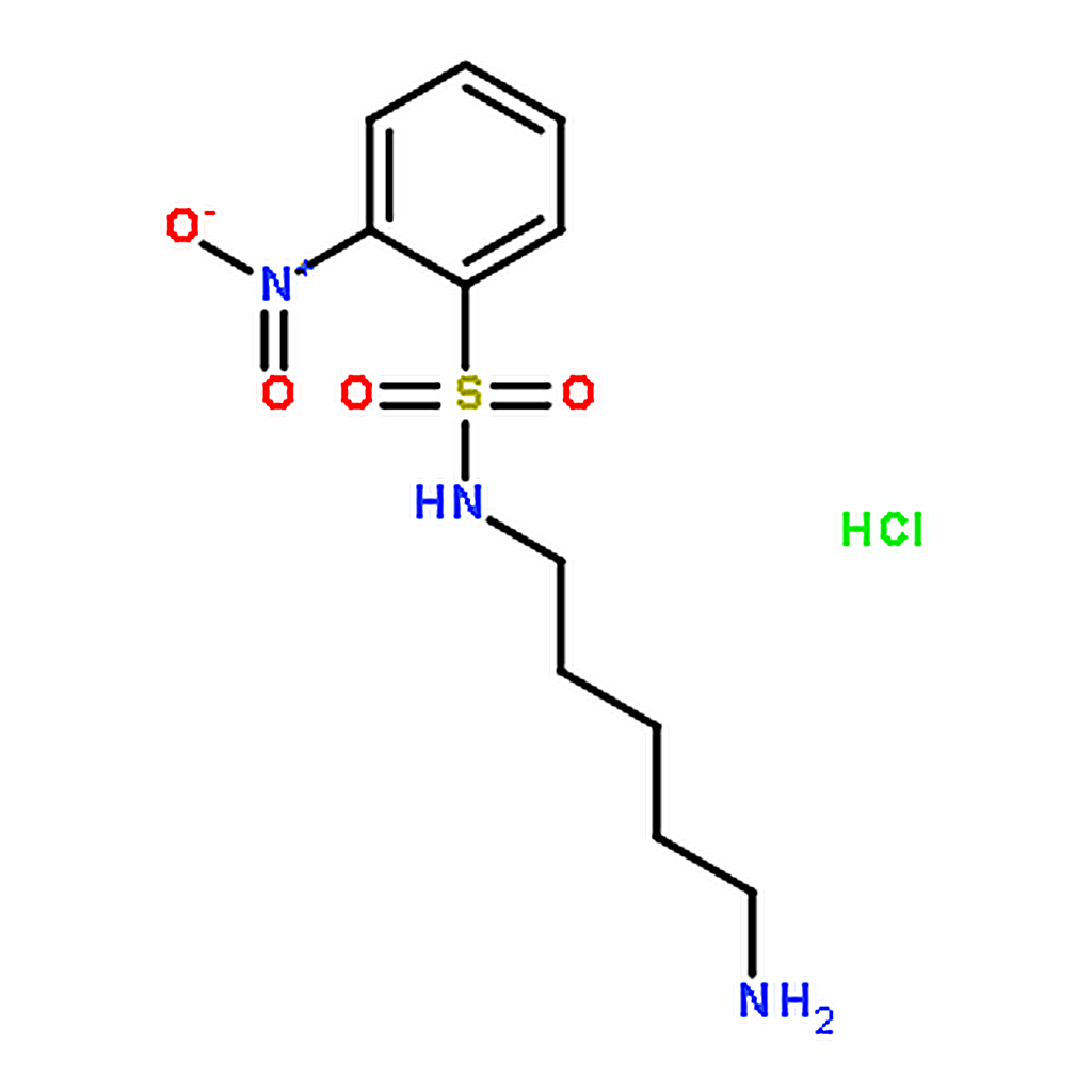 RHAWN N-(5-Aminopentyl)-2-nitrobenzenesulfonamide Hydrochloride