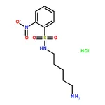RHAWN N-(5-Aminopentyl)-2-nitrobenzenesulfonamide Hydrochloride