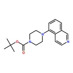 RHAWN tert-butyl4-(isoquinolin-5-yl)piperazine-1-carboxylate