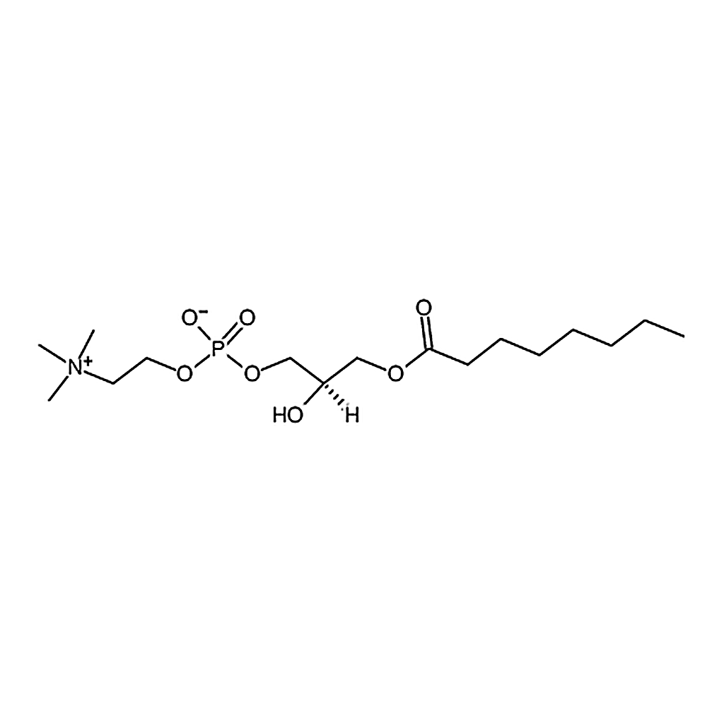 RHAWN 1-octanoyl-2-hydroxy-sn-glycero-3-phosphocholine