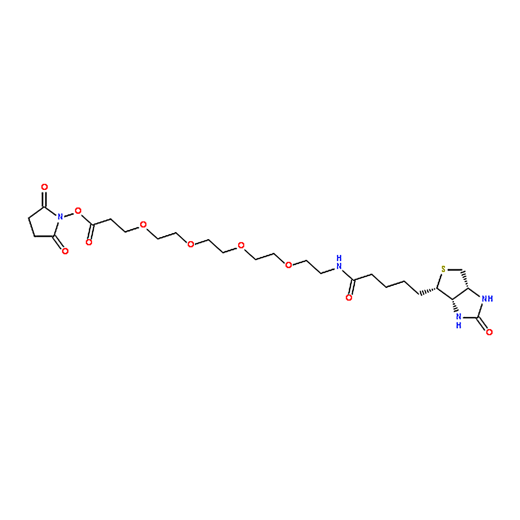 RHAWN 15-BiotinlaMino-4,7,10,13-dioxanonanoic acid N-hydroxysucciniMidyl ester