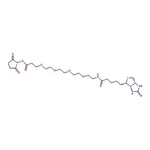 RHAWN 15-BiotinlaMino-4,7,10,13-dioxanonanoic acid N-hydroxysucciniMidyl ester