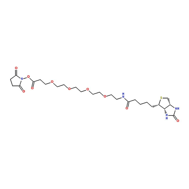 RHAWN 15-BiotinlaMino-4,7,10,13-dioxanonanoic acid N-hydroxysucciniMidyl ester