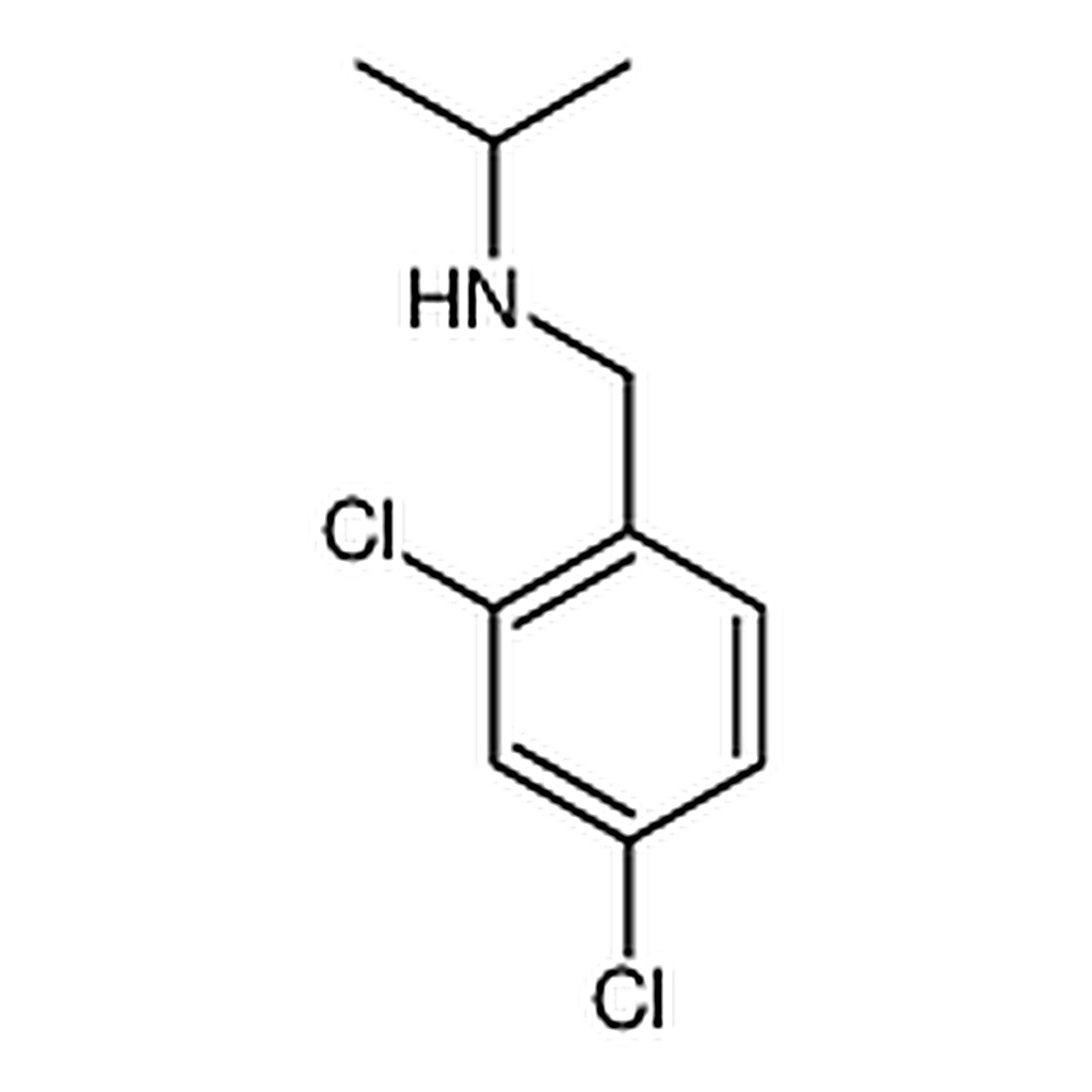 RHAWN N-(2,4-Dichlorobenzyl)propan-2-amine